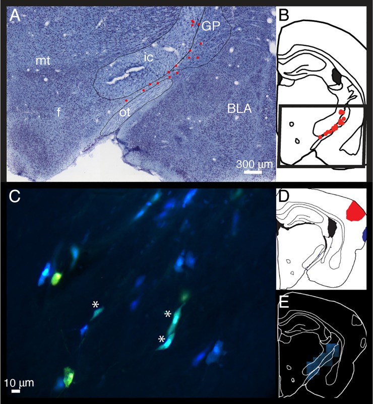 Figure 2.