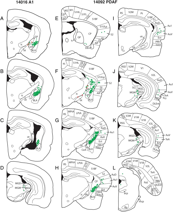 Figure 7.