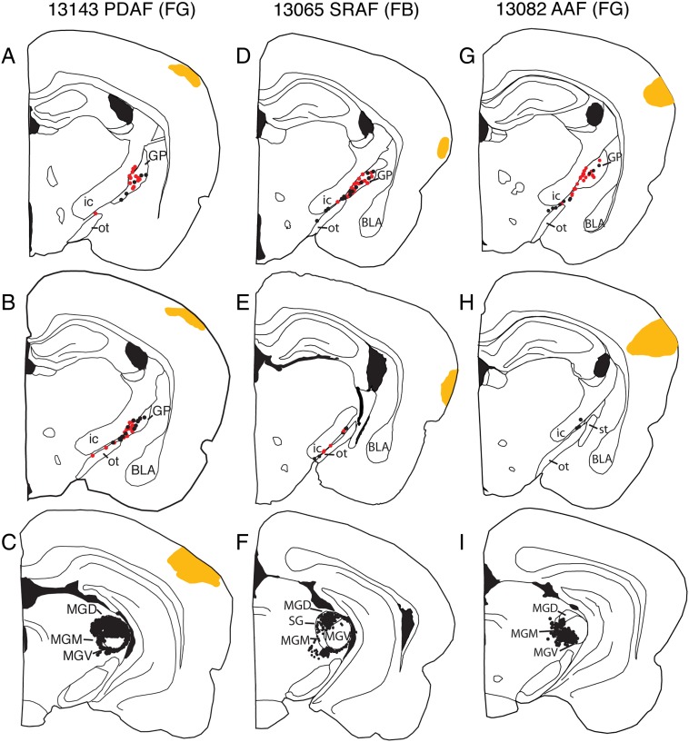 Figure 3.