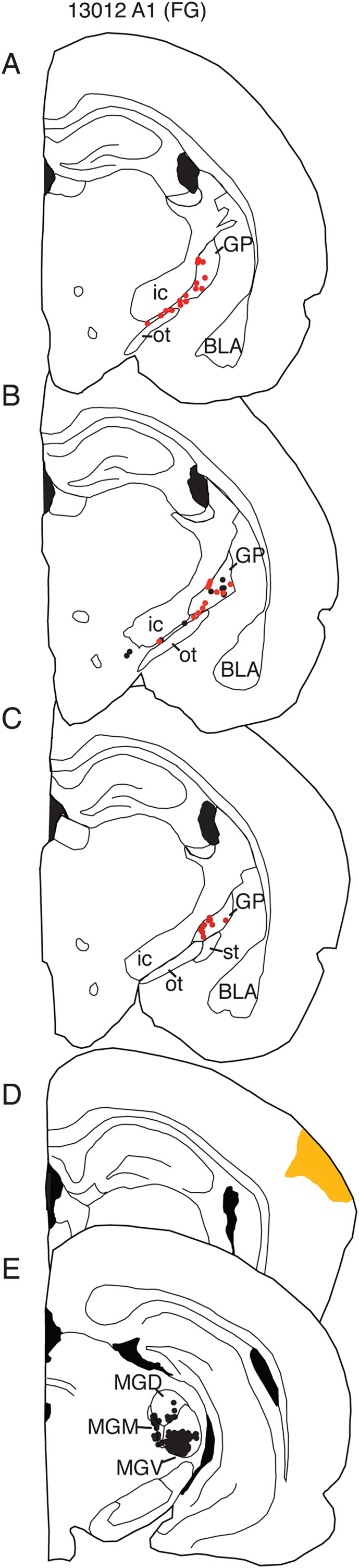 Figure 1.