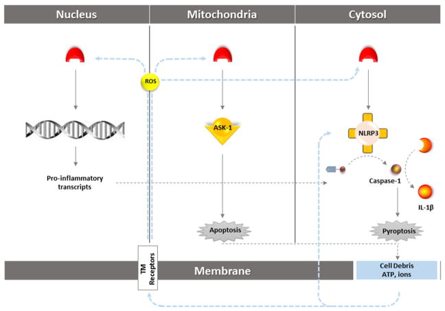 Fig. 2