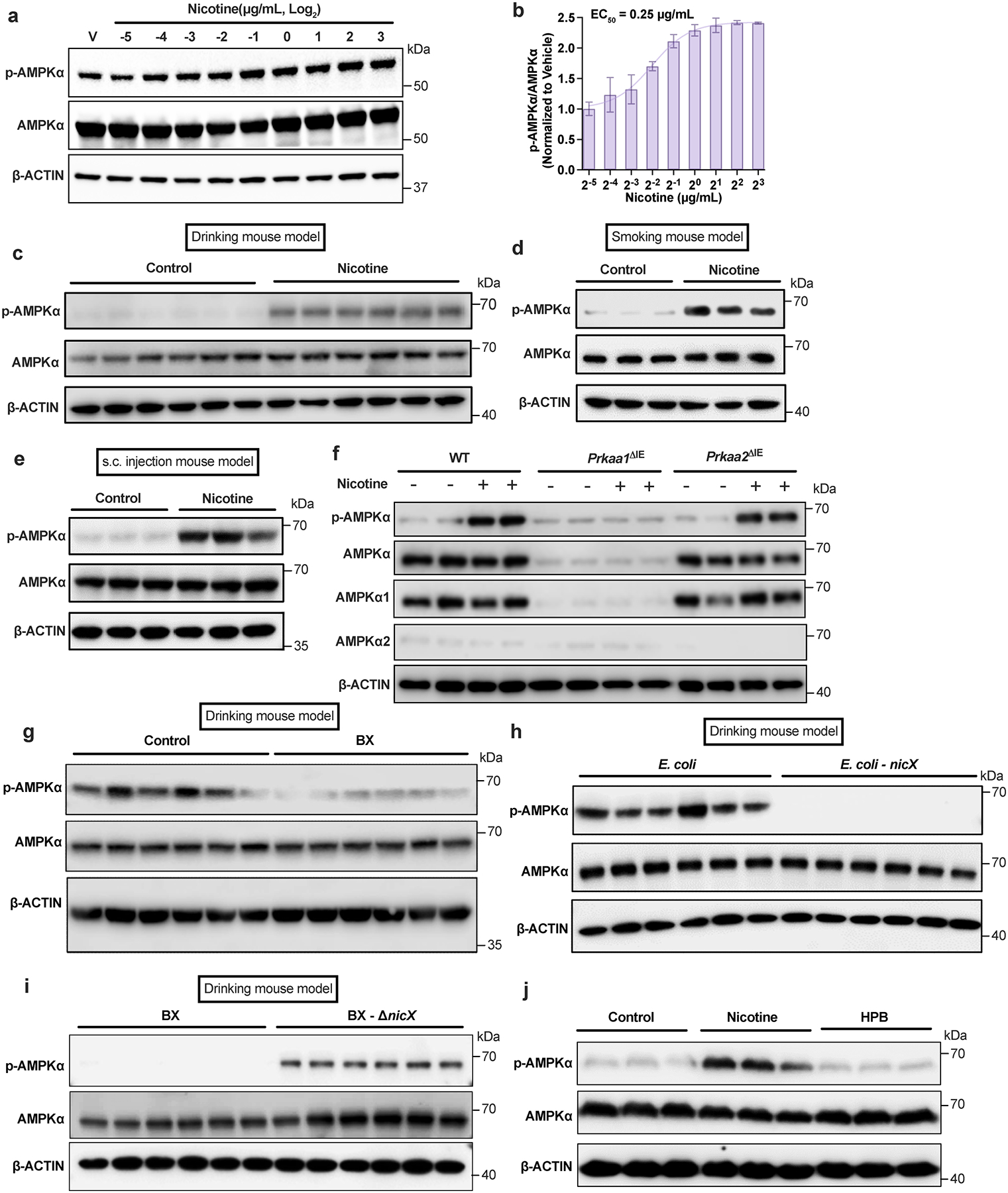 Extended Data Fig. 4