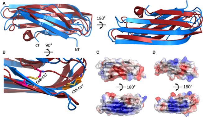 Figure 2.