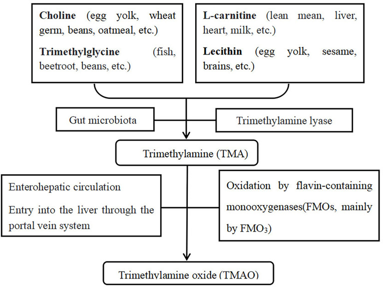 Figure 7