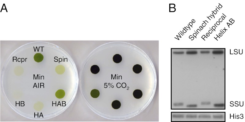 Fig. 2.