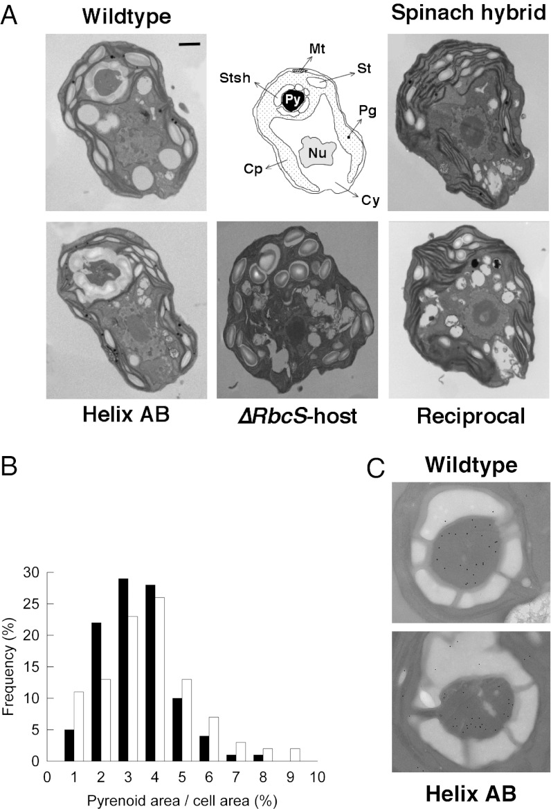 Fig. 3.