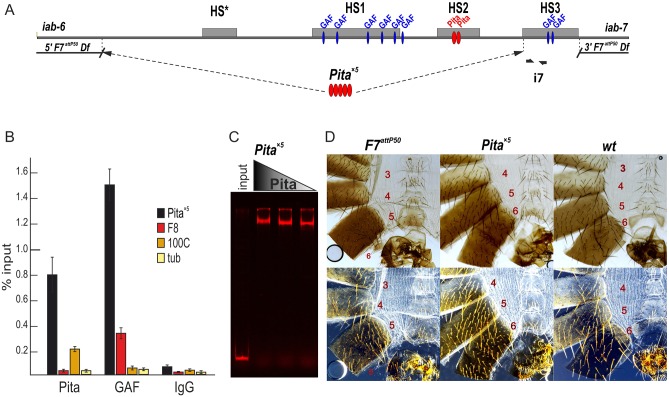 Fig. 2.