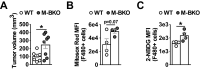 Figure 6—figure supplement 1.