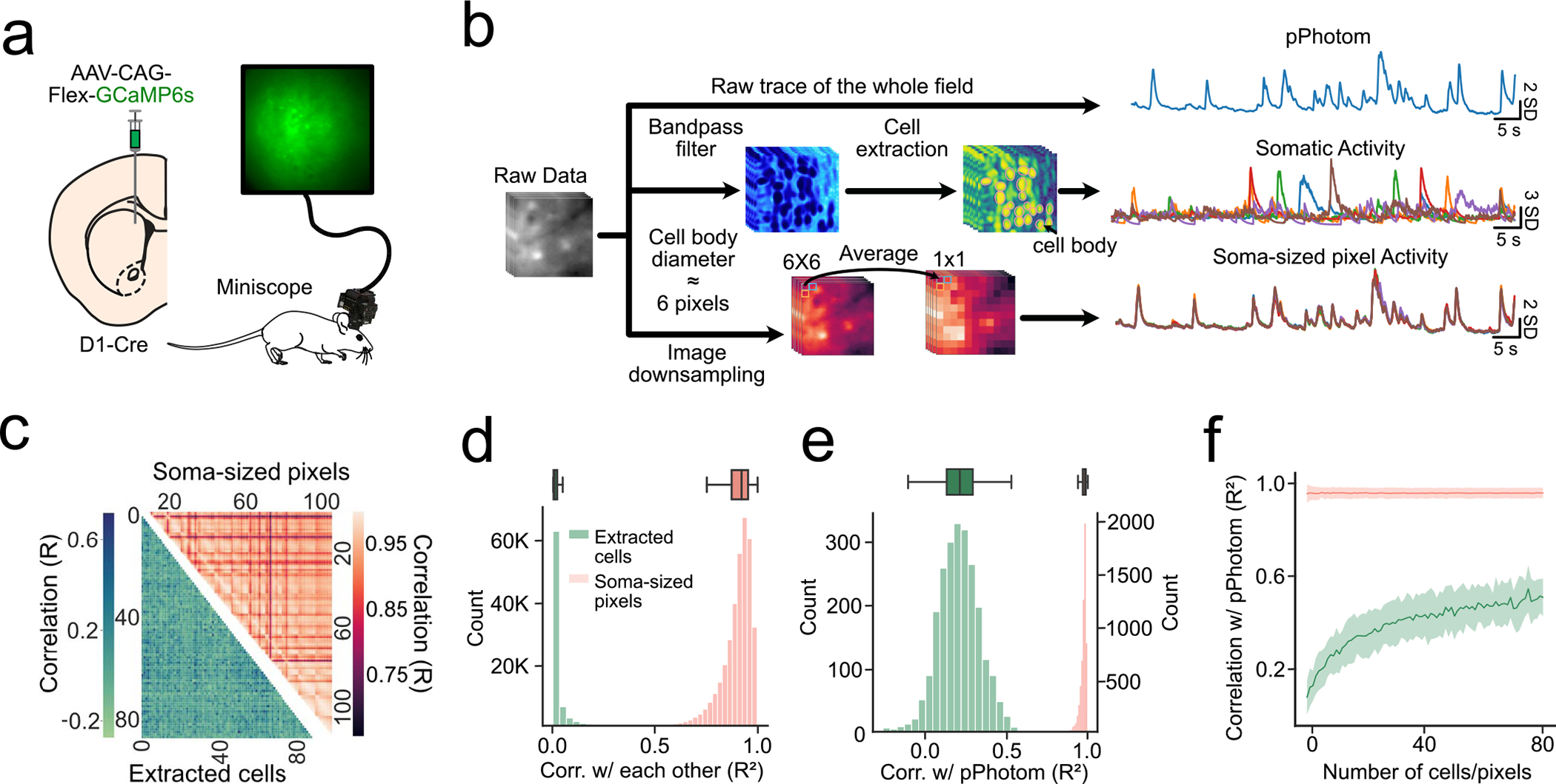 Extended Data Fig. 5 |