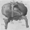 243