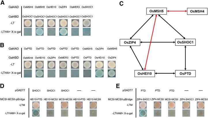 Figure 10.