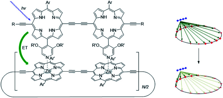 Fig. 3