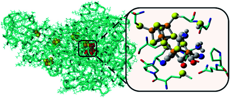 Fig. 12