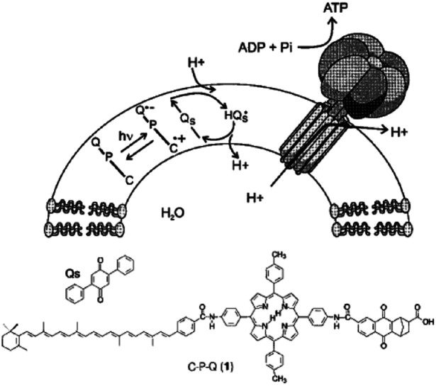 Fig. 29