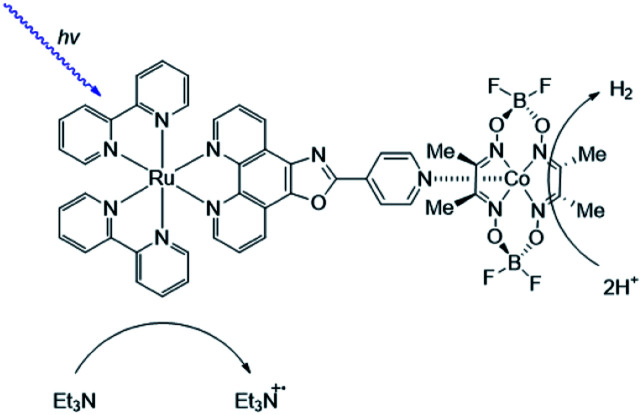 Fig. 21