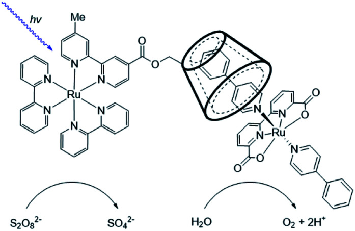 Fig. 17