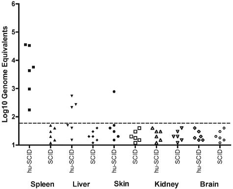 FIG. 2.