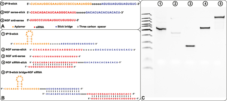 Figure 5.