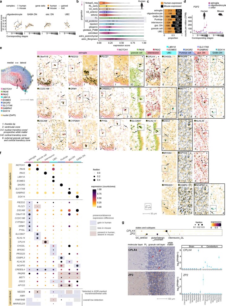 Extended Data Fig. 12