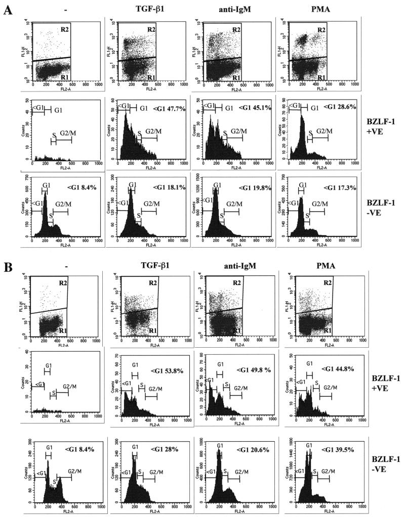 FIG. 8