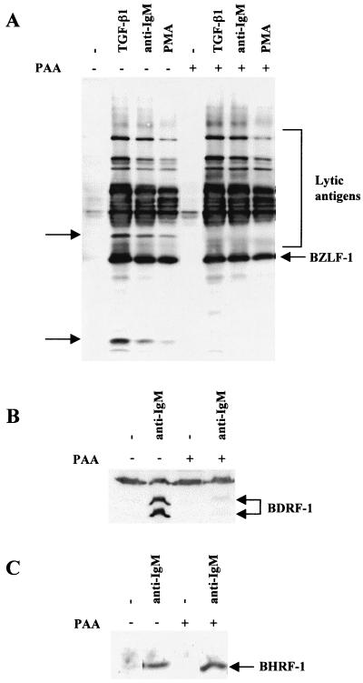 FIG. 9