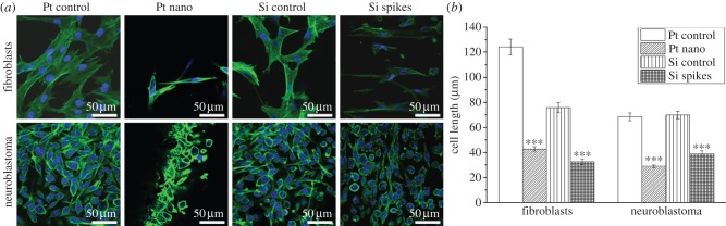 Figure 2.