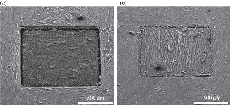 Figure 4.