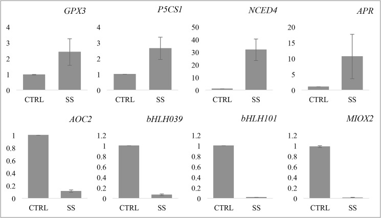 Fig 6