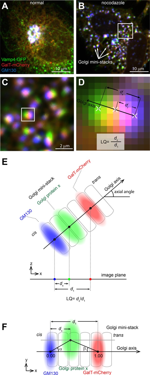 FIGURE 1: