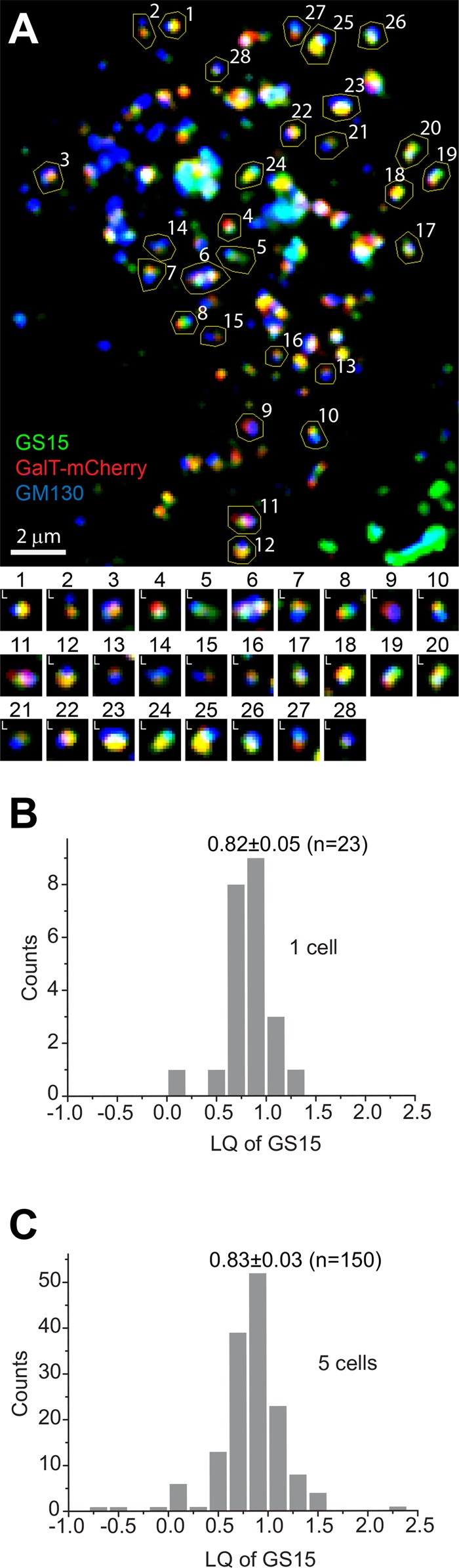 FIGURE 3: