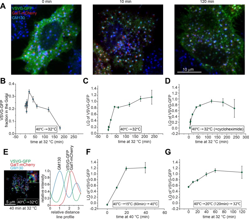 FIGURE 6: