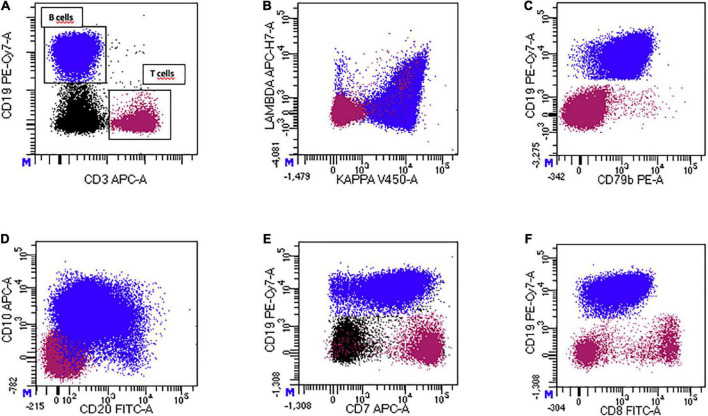 FIGURE 3