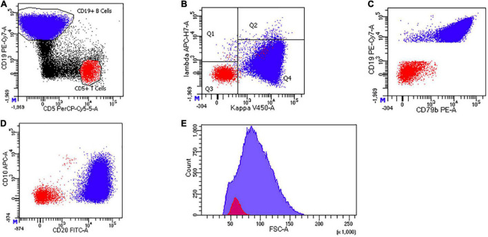 FIGURE 4