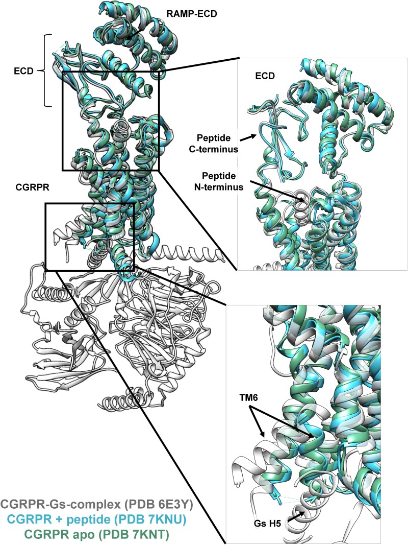 Figure 7.