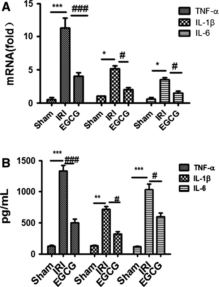 Fig. 4