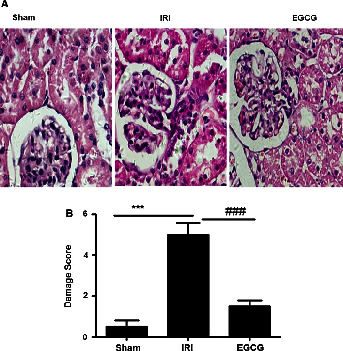 Fig. 3