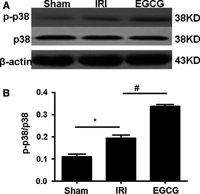 Fig. 7