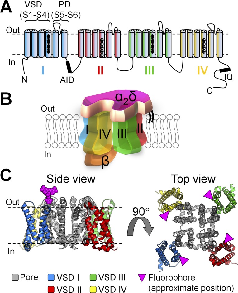 Figure 1.