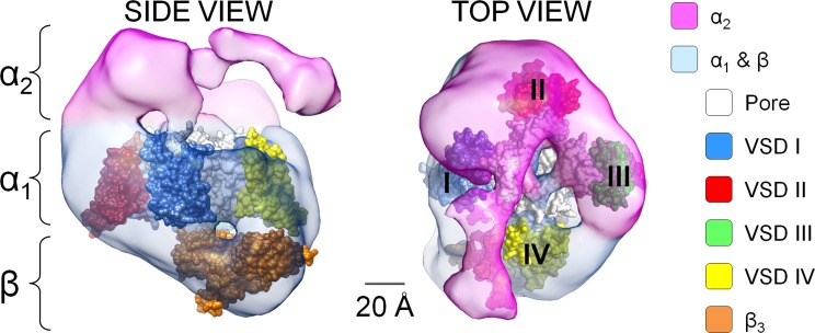 Figure 7.