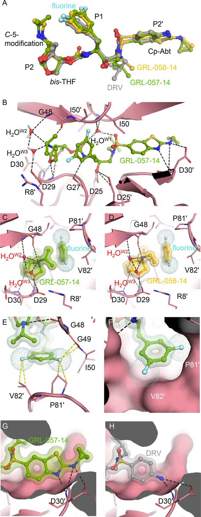 FIG 6