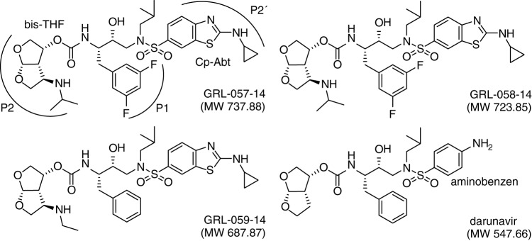 FIG 1