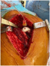 Fig. 3.