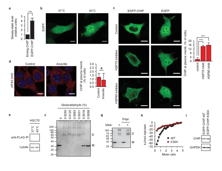 Figure 1—figure supplement 1.