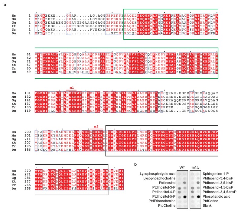 Figure 3—figure supplement 1.