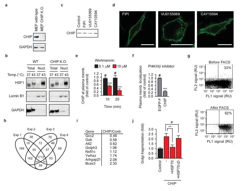 Figure 5—figure supplement 1.