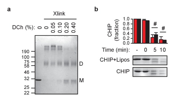 Figure 4—figure supplement 1.