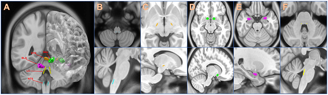 Figure 1: