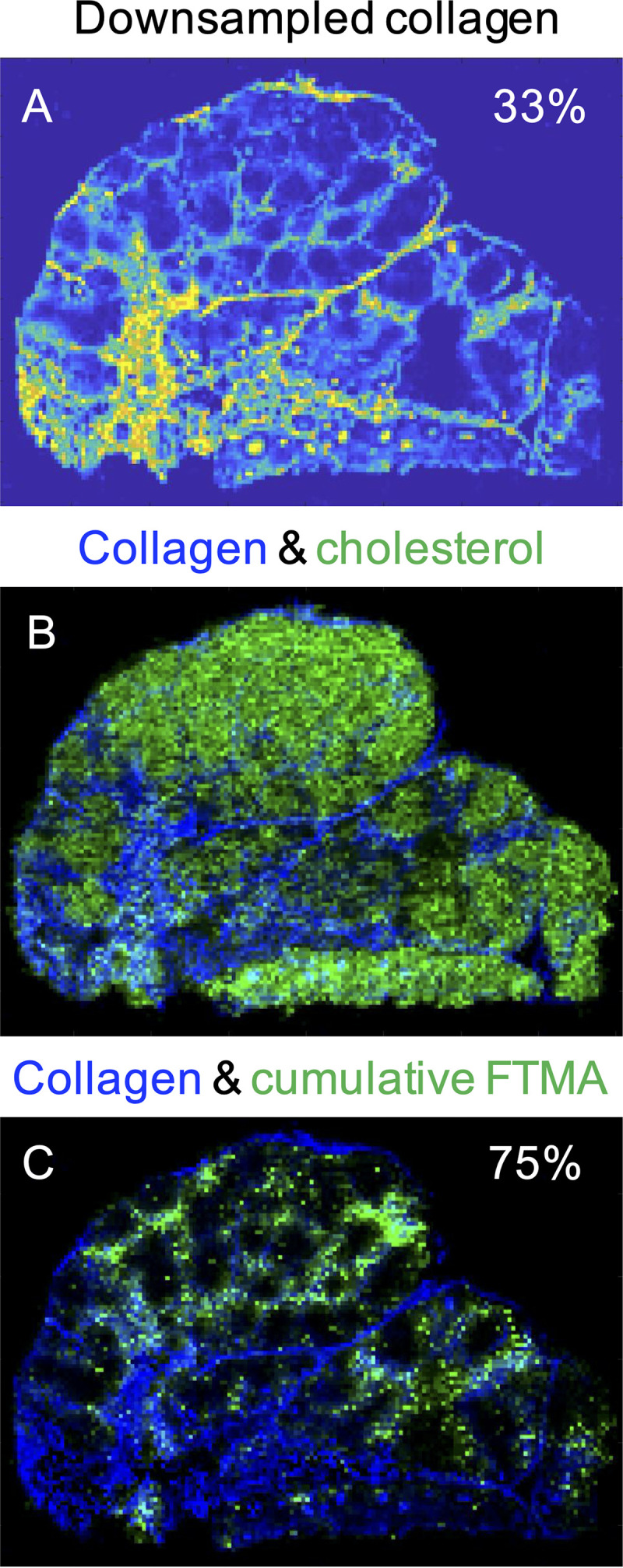 FIG 5