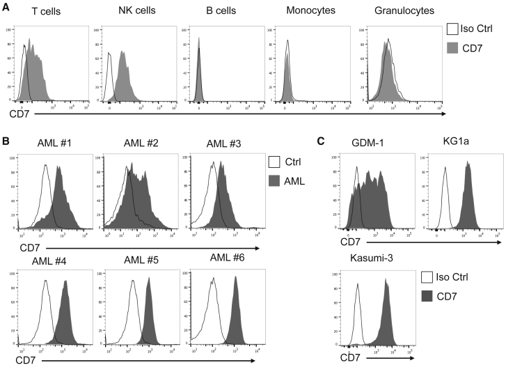 Figure 1