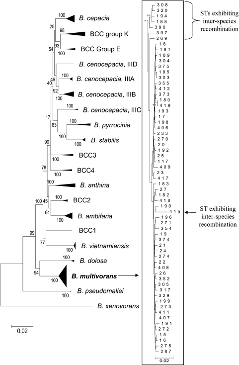 FIG. 1.